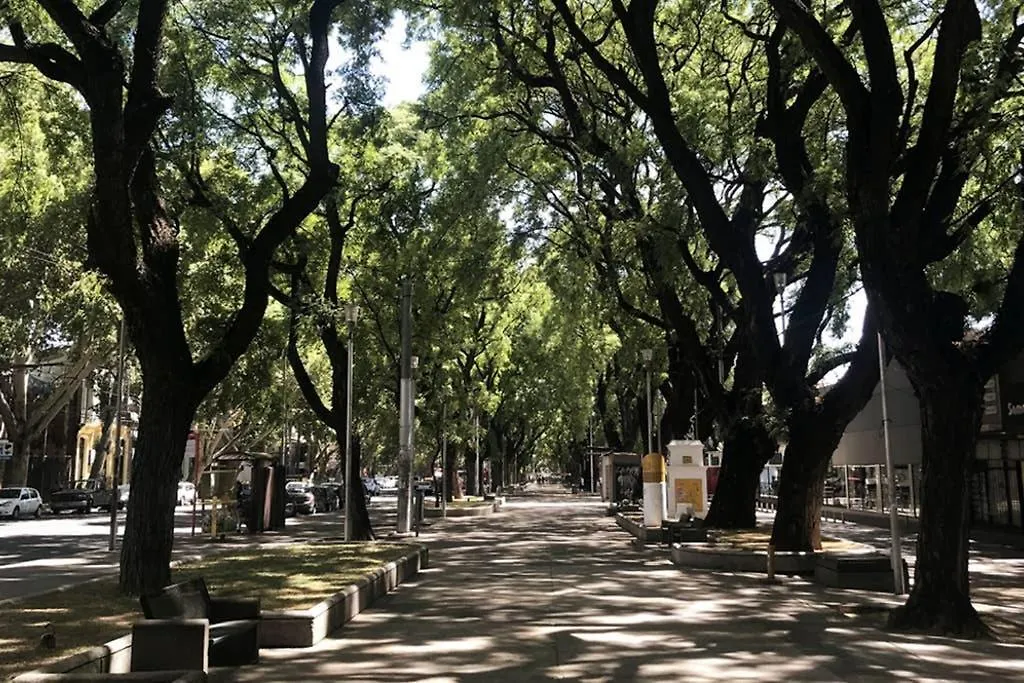 Alojate Mendoza - Departamento 